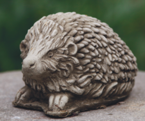 Midi Hedgehog